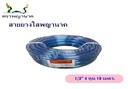 สายยางใส 1/2" 10 ม. T ตราพญานาค