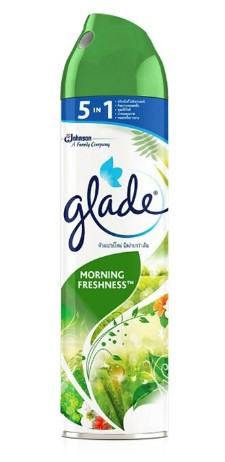 [1004109] สเปรย์ปรับอากาศ 320 มล. กลิ่นมอร์นิ่ง เฟรชเนส เกลด โซลิด